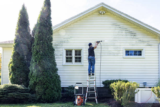 Professional Pressure Washing in Roan Mountain, TN